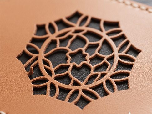 وحدة التحكم بالليزر المرئية ووحدة التحكم بالليزر غير المرئية.